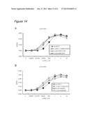 METHOD FOR CULTURING CELLS IN A SYSTEM COMPRISING LAMININ-5 diagram and image