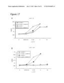 METHOD FOR CULTURING CELLS IN A SYSTEM COMPRISING LAMININ-5 diagram and image