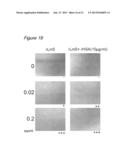 METHOD FOR CULTURING CELLS IN A SYSTEM COMPRISING LAMININ-5 diagram and image