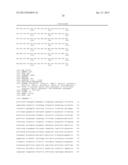 METHOD FOR CULTURING CELLS IN A SYSTEM COMPRISING LAMININ-5 diagram and image