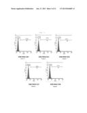 CULTURE MEDIUM COMPOSITION FOR CULTURING AMNION-DERIVED MESENCHYMAL STEM     CELL, AND METHOD FOR CULTURING AMNION-DERIVED MESENCHYMAL STEM CELL BY     USING SAME diagram and image