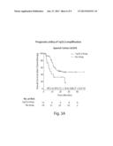 CHROMOSOME COPY NUMBER GAIN AS A BIOMARKER OF UROTHELIAL CARCINOMA     LETHALITY diagram and image