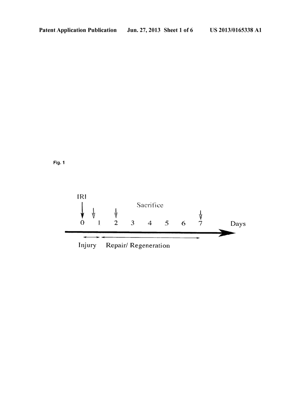 BIOMARKERS FOR DETERMINATION OF TEMPORAL PHASE OF ACUTE KIDNEY INJURY - diagram, schematic, and image 02