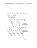 CYCLODEXTRIN-BASED POLYMERS FOR THERAPEUTICS DELIVERY diagram and image