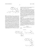 CYCLODEXTRIN-BASED POLYMERS FOR THERAPEUTICS DELIVERY diagram and image