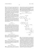 CYCLODEXTRIN-BASED POLYMERS FOR THERAPEUTICS DELIVERY diagram and image