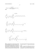 CYCLODEXTRIN-BASED POLYMERS FOR THERAPEUTICS DELIVERY diagram and image