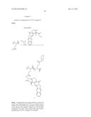 CYCLODEXTRIN-BASED POLYMERS FOR THERAPEUTICS DELIVERY diagram and image