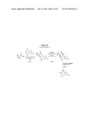 SUBSTITUTED BENZIMIDAZOLES AND BENZOPYRAZOLES AS CCR(4) ANTAGONISTS diagram and image