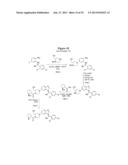 SUBSTITUTED BENZIMIDAZOLES AND BENZOPYRAZOLES AS CCR(4) ANTAGONISTS diagram and image