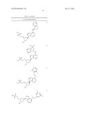 INHIBITORS OF E1 ACTIVATING ENZYMES diagram and image