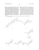 INHIBITORS OF E1 ACTIVATING ENZYMES diagram and image