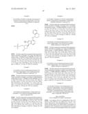 INHIBITORS OF E1 ACTIVATING ENZYMES diagram and image