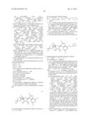 INHIBITORS OF E1 ACTIVATING ENZYMES diagram and image