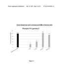 HETEROARYL COMPOUNDS AND USES THEREOF diagram and image