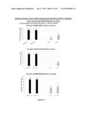 HETEROARYL COMPOUNDS AND USES THEREOF diagram and image