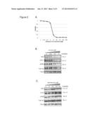 COMPOUNDS THAT INHIBIT TAU PHOSPHORYLATION diagram and image