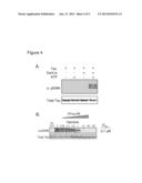 COMPOUNDS THAT INHIBIT TAU PHOSPHORYLATION diagram and image