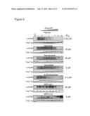 COMPOUNDS THAT INHIBIT TAU PHOSPHORYLATION diagram and image