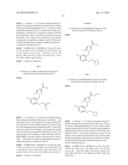 COMPOUNDS ACTING AT MULTIPLE PROSTAGLANDIN RECEPTORS GIVING A GENERAL     ANTI-INFLAMMATORY RESPONSE diagram and image