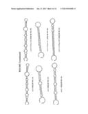 INVERTEBRATE MICRORNAS diagram and image