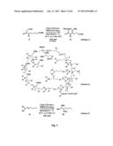 METHOD FOR THE SYNTHESIS OF AN AMINO ACETAL diagram and image