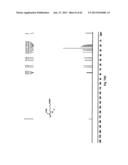 METHOD FOR THE SYNTHESIS OF AN AMINO ACETAL diagram and image