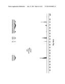 METHOD FOR THE SYNTHESIS OF AN AMINO ACETAL diagram and image