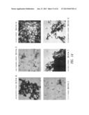 NANOWIRE CATALYSTS AND METHODS FOR THEIR USE AND PREPARATION diagram and image