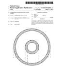 ENDOSCOPE INTEGRATED WITH A LIGHT SOURCE diagram and image