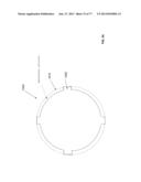 Rotate-to-Advance Catheterization System diagram and image