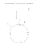 Rotate-to-Advance Catheterization System diagram and image