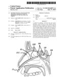 METHODS, DEVICES AND SYSTEMS FOR TREATING AND/OR DIAGNOSIS OF DISORDERS OF     THE EAR, NOSE AND THROAT diagram and image