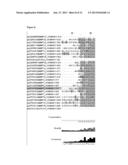 Crystal Structure of the Pro Form of a Matrix Metalloproteinase and an     Allosteric Processing Inhibitor diagram and image