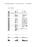 Crystal Structure of the Pro Form of a Matrix Metalloproteinase and an     Allosteric Processing Inhibitor diagram and image