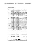 Crystal Structure of the Pro Form of a Matrix Metalloproteinase and an     Allosteric Processing Inhibitor diagram and image