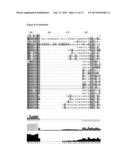 Crystal Structure of the Pro Form of a Matrix Metalloproteinase and an     Allosteric Processing Inhibitor diagram and image