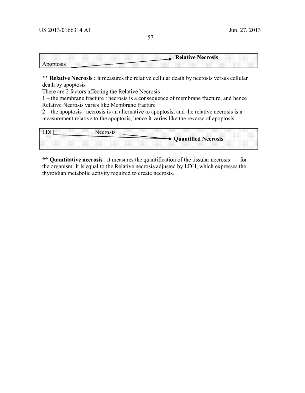 Apparatus, Method and Computer-Readable Storage Medium For Evaluating A     Physiological Condition of a Patient - diagram, schematic, and image 92