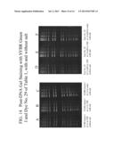 METHODS OF USING DYES IN ASSOCIATION WITH NUCLEIC ACID STAINING OR     DETECTION AND ASSOCIATED TECHNOLOGY diagram and image