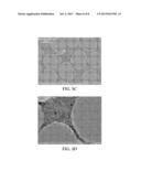 FIBER-REINFORCED NANOPARTICLE-LOADED THERMOSET POLYMER COMPOSITE WIRES AND     CABLES, AND METHODS diagram and image