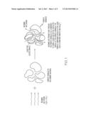 CO2 SORBENT COMPOSITION WITH O2 CO-GENERATION diagram and image