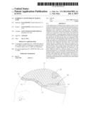 HAIRPIECE AND METHOD OF MAKING SAME diagram and image