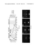 APPARATUS AND METHODS FOR HETEROEPITAXIAL GROWTH USING PULSED LASER AND     SPUTTERING DEPOSITION WITH REAL-TIME, IN SITU RHEED IMAGING diagram and image