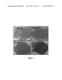 SYNTHESIS OF COPPER OXIDE- DOPED ZINC-OXIDE NANOPARTICLES AND THEIR USE diagram and image