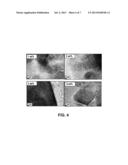 SYNTHESIS OF COPPER OXIDE- DOPED ZINC-OXIDE NANOPARTICLES AND THEIR USE diagram and image