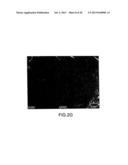 BORON-SILICON-CARBON CERAMIC MATERIALS AND METHOD OF MAKING diagram and image