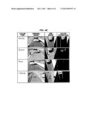 COLOR DETECTOR FOR VEHICLE diagram and image