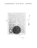 ZERO ORDER SENSING TO INCREASE LIGHT COLLECTION IN A SPECTROMETER diagram and image