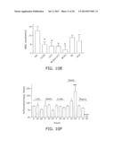 Nanocell Drug Delivery System diagram and image