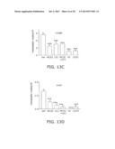 Nanocell Drug Delivery System diagram and image